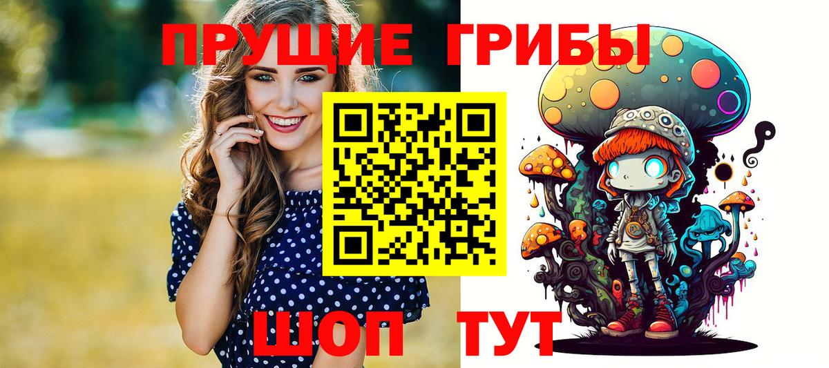 Шадринск  Галлюциногенные грибы мицелий  Вход с VPN 